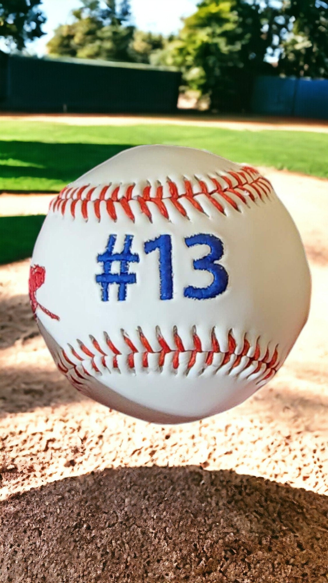 Personalized Embroidered Baseball